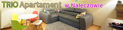 Tri Apartament w Nałęczowie