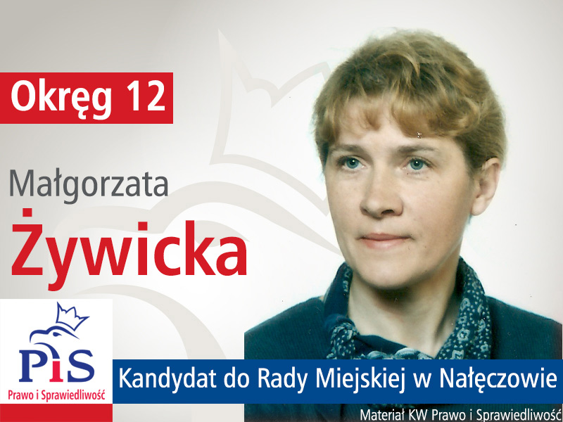 Wybory samorządowe 2014 - kandydaci do Rady Miasta i Gminy Nałęczów