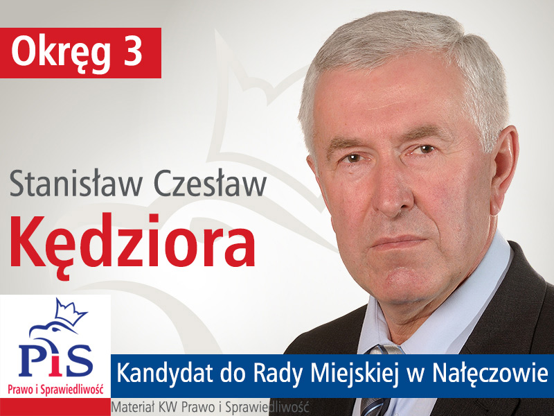 Wybory samorządowe 2014 - kandydaci do Rady Miasta i Gminy Nałęczów