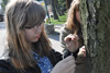 Gimnazjaliści pomagają drzewom w Nałęczowie